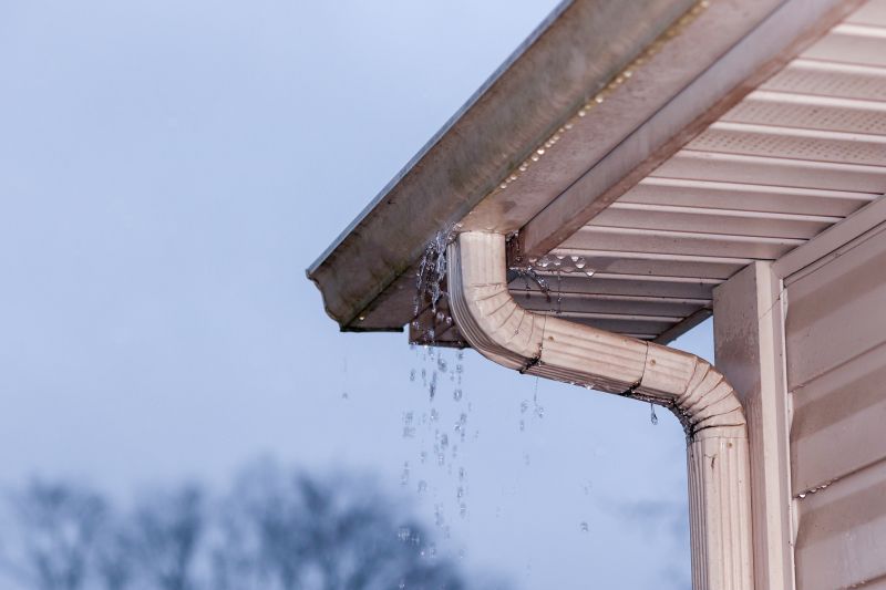 Gutter Leak Detection